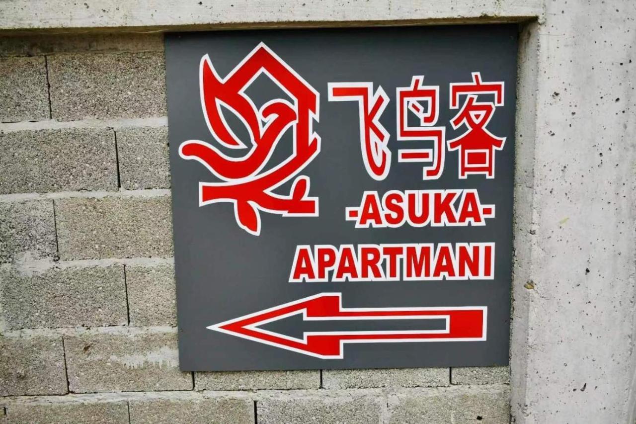 Asuka Apartmani 飞鸟客 Surčin Exterior foto